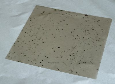 8"x10" Spotted Mica